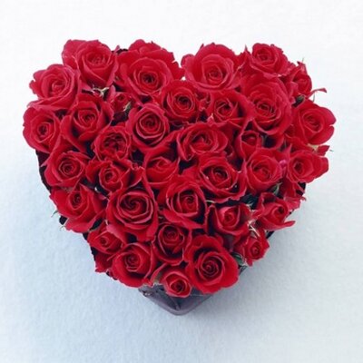 Profile Picture of Cindy Bunting (@CindyBunting) on Twitter