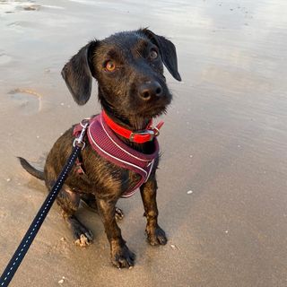 Stuart Hillier - Facebook Profile Picture of Stuart Hillier (@stuart.hillier.520) on Facebook