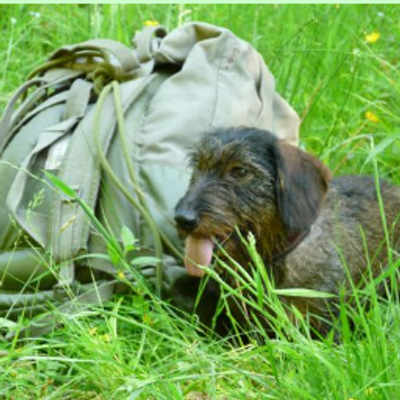 Profile Picture of BECQUET Francis (@becquet51) on Twitter