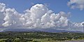 Profile Picture of El Yunque National Foreston Wikipedia