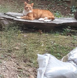 Clark Remter (Nuts on) - Facebook Profile Picture of Clark Remter (Nuts on) (@clark.remter) on Facebook