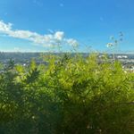 Profile Picture of 🔆yun🌳yo💧 (@hsi_ning_faith) on Instagram