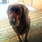 Profile Picture of Benjamin Collard (@benjamin.collard) on Facebook