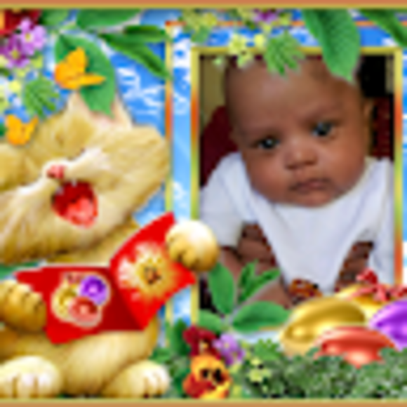 Profile Picture of Twinkle Patel (@littlestar1822) on Poshmark