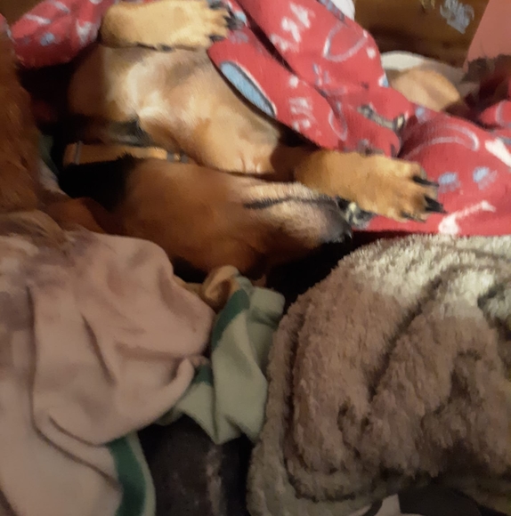 Heather Grossenbacher - Poshmark Profile Picture of Heather Grossenbacher (@winniekent24) on Poshmark