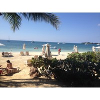 Amelia Dennis - Quora Profile Picture of Amelia Dennis (@amelia-dennis-4) on Quora