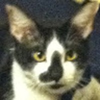 Profile Picture of Robert Dobmeier (@robert-dobmeier-1) on Quora