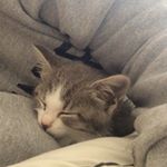 Profile Picture of Rebecca Eversole (@rebecca_eversole98) on Instagram