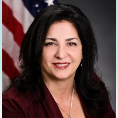 Profile Picture of Senator Diane Savino (@dianesavino) on Twitter