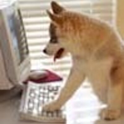 Profile Picture of Scott McNabb (@ZonFire99) on Twitter