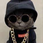 Profile Picture of Long dick (@mr.penniss) on Instagram