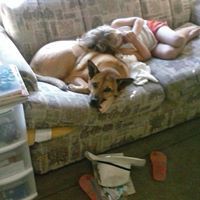 Profile Picture of Cindy Inman (@cindy-inman-11) on Quora