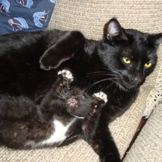 Profile Picture of Blaze Pengelly (@blaze.pengelly) on Facebook