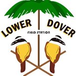 Profile Picture of Justin Reynolds (@BelizeMaya2012) on Twitter