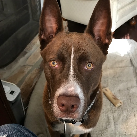 Profile Picture of Paul Mckinzey (@pmckinzey) on Poshmark