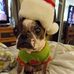 Profile Picture of Jean Kuntz (@jean.kuntz.79) on Facebook