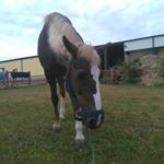 Profile Picture of Robin Leroux (@robin_leroux_villois) on Instagram