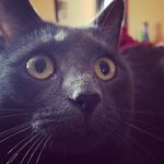 Profile Picture of Jerrell Scott (@scott.jerrell) on Instagram