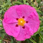 Cindy Becker - Flickr Profile Picture of Cindy Becker (@cbecker1089) on Flickr