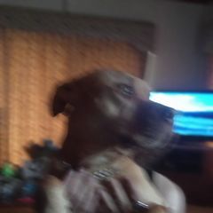 Profile Picture of Richard Paoletti (@richardpaoletti8675) on Tiktok