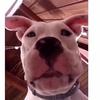 Profile Picture of Ashley conway (@@letsgetconwayed64) on Tiktok