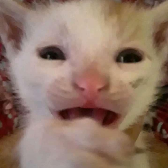 Profile Picture of Ulises Ramos (@whosuli) on Poshmark