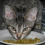 Profile Picture of Ivy Jacobs Brazil Times Reporter (@ivyjacobsbraziltimesreport8715) on Youtube