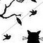 Mickya Jj - Flickr Profile Picture of Mickya Jj (@kim_sofi) on Flickr