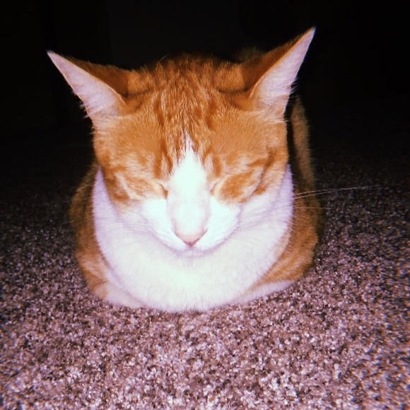 Profile Picture of Mckenna Kocmich (@kennak755) on Poshmark