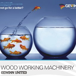 Fion Lau - Twitter Profile Picture of Fion Lau (@Gewinn_Fion_Lau) on Twitter