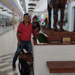 Profile Picture of David Humanante (@david.humanante) on Tiktok