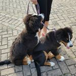 Profile Picture of James Welbourne (@james.welbourne) on Instagram