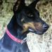 Profile Picture of Nancy Sinnett (@nancy.sinnett.330) on Facebook
