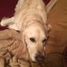 Profile Picture of Jo Springer (@jo.springer.73) on Facebook