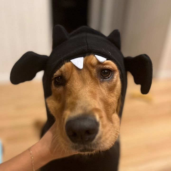 Profile Picture of Lacey (@laceybontrager) on Tiktok