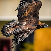 Profile Picture of Cesar CID (@cesarcid7709) on Youtube