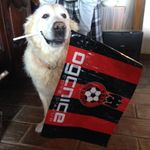 Profile Picture of Guy Rosset (@guyrosset) on Instagram