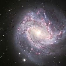 Profile Picture of Gary Cliff (@GaryCliff5) on Twitter