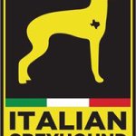 Profile Picture of Stephen Mick (@stephenamick) on Instagram