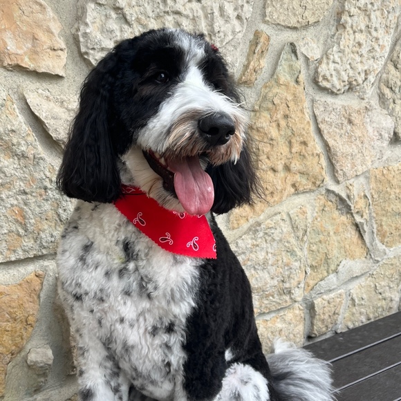 Profile Picture of Linda Schotter (@lks1227) on Poshmark