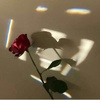 Profile Picture of Claudia_Addison (@@Claudia_Addison) on Tiktok