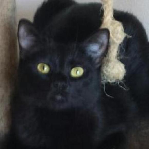 Profile Picture of Tammy Rautenberg (@tammyerrn) on Poshmark