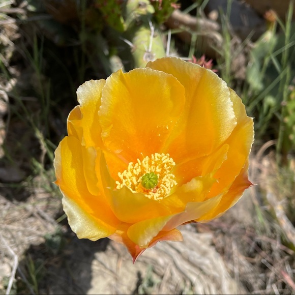 Brooke Mckeating - Poshmark Profile Picture of Brooke Mckeating (@brooke_365) on Poshmark