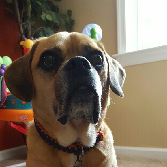 Profile Picture of Rocky Turnbaugh (@rturnbaugh) on Poshmark