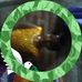 Profile Picture of Swapna Raju (@Swapna-Raju) on Facebook