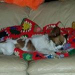 Profile Picture of William Ogden (@muddtrucking29) on Instagram