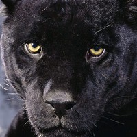 Profile Picture of Frederick Allen (@frederick-allen-29) on Quora