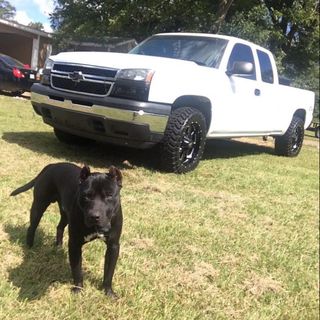 Profile Picture of Tanner Walters (@tanner.walters.33) on Facebook