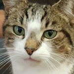 Profile Picture of Eric (@eric_hannah_13) on Instagram