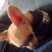 Profile Picture of Chico Hart (@chico.hart.5) on Facebook